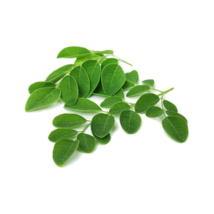 Normadex contiene foglie di moringa, un potente rimedio naturale contro i parassiti